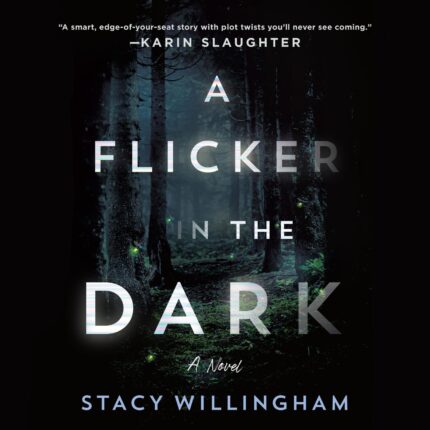 A Flicker in the Dark Audiobook
